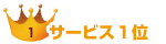 �T�[�r�X1��